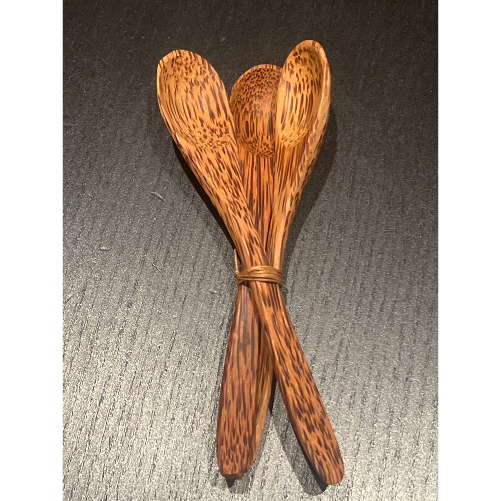 Vintage Handcrafted Tiny Coconut Wood‎ Spoons Set of 3 Natural Palm Wood Brown